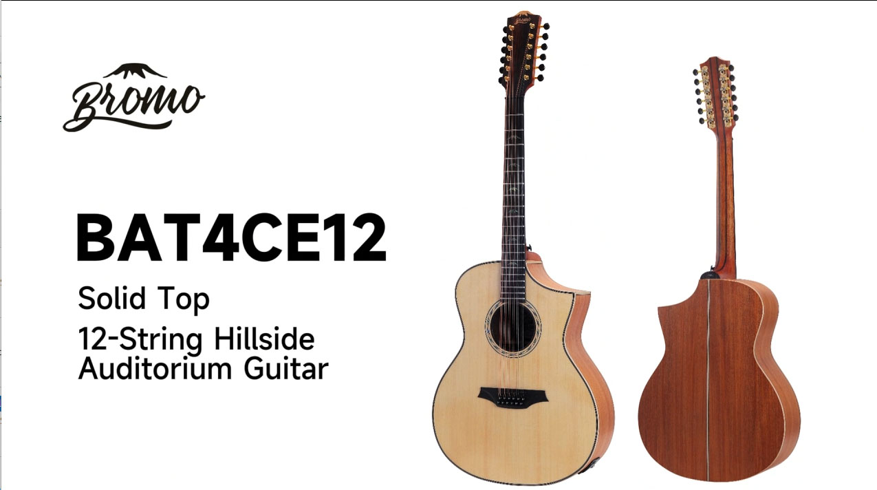 Amazon.com: Bromo BAT 4CE-12 String SG Solid Top Dreadnought
